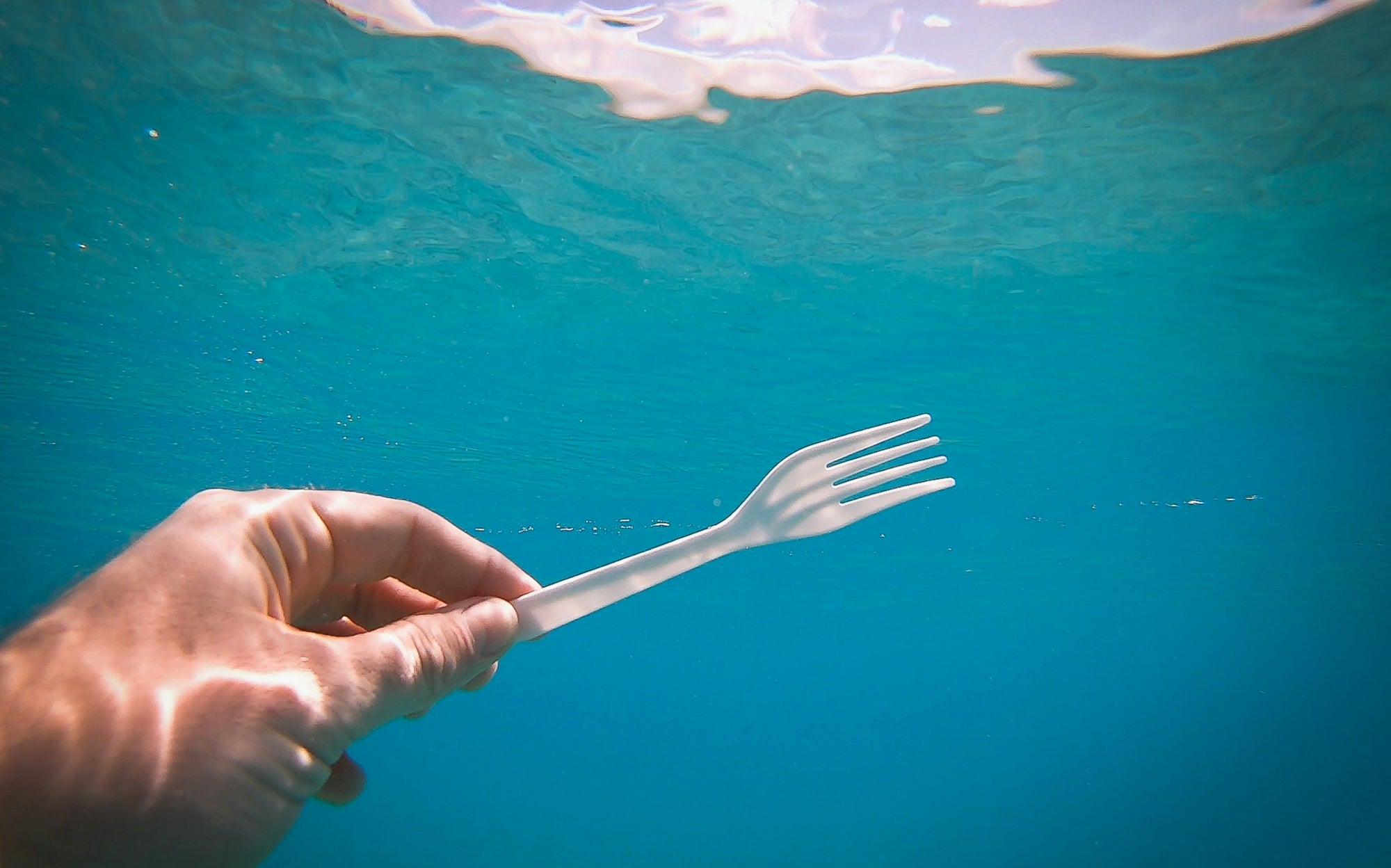 プラスチック、結局なにが問題なの?〈後編〉