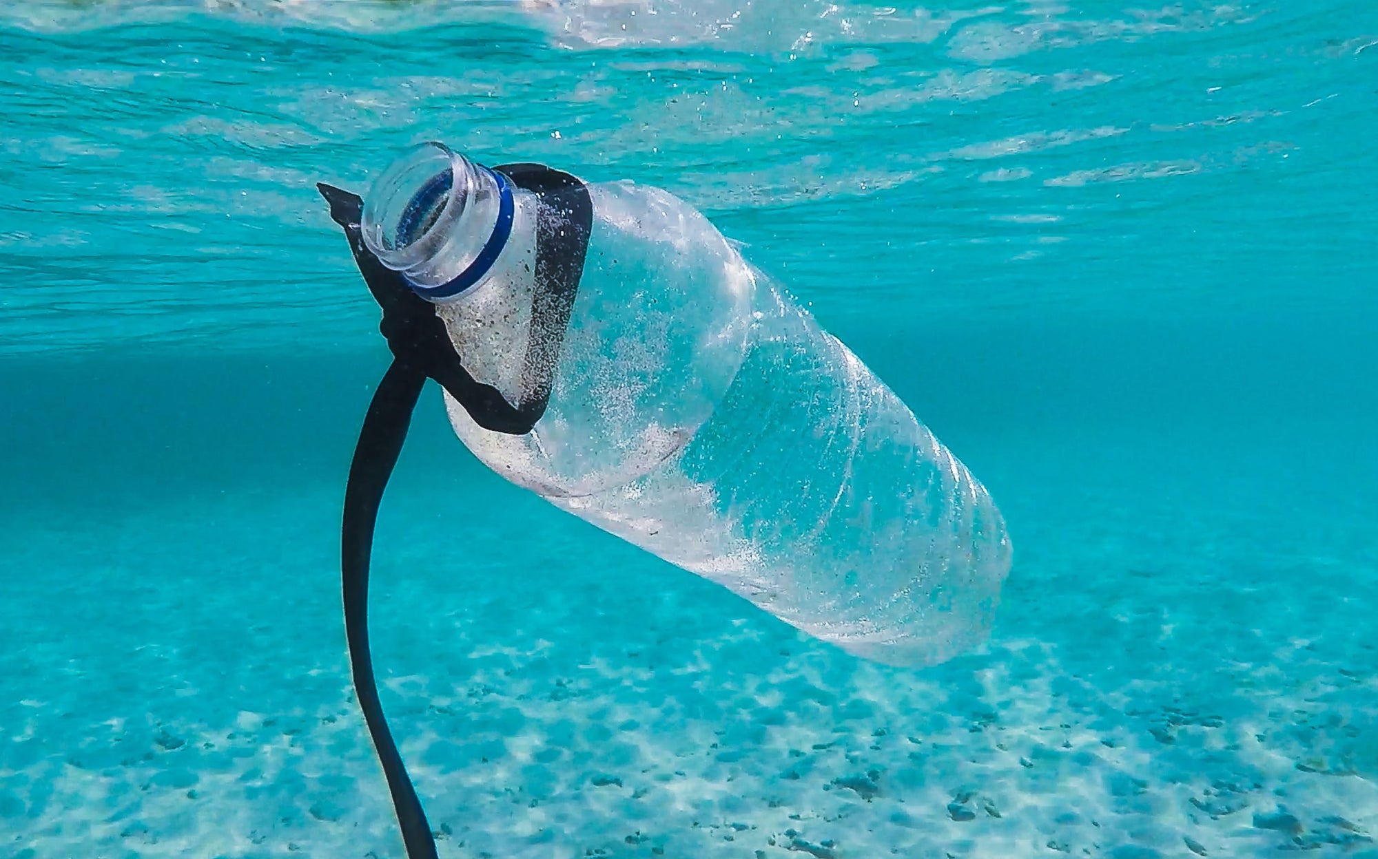 プラスチック、結局なにが問題なの?〈前編〉