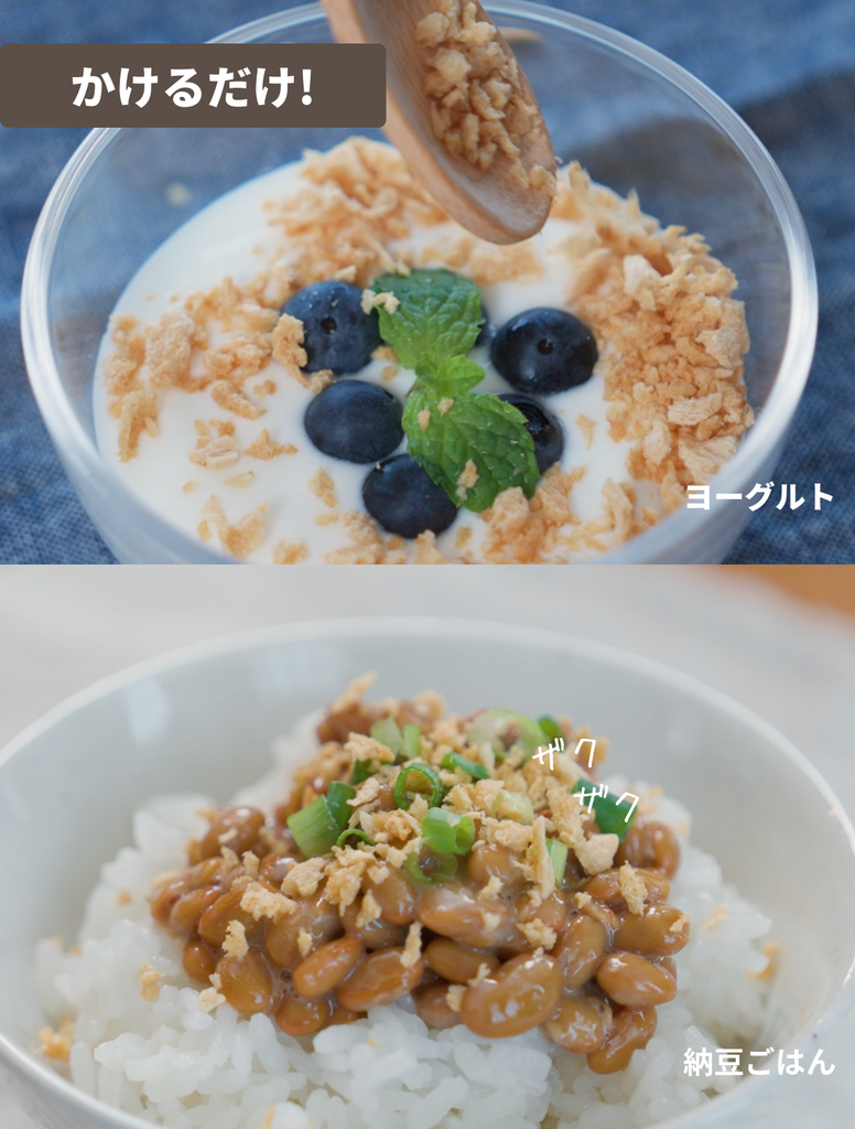 はじめてのソイクル