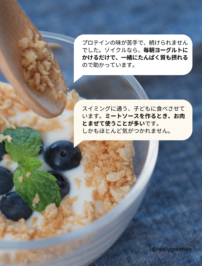 はじめてのソイクル